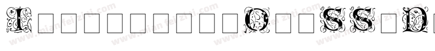 IlluminatiOneSSiDisplayCaps Medium字体转换